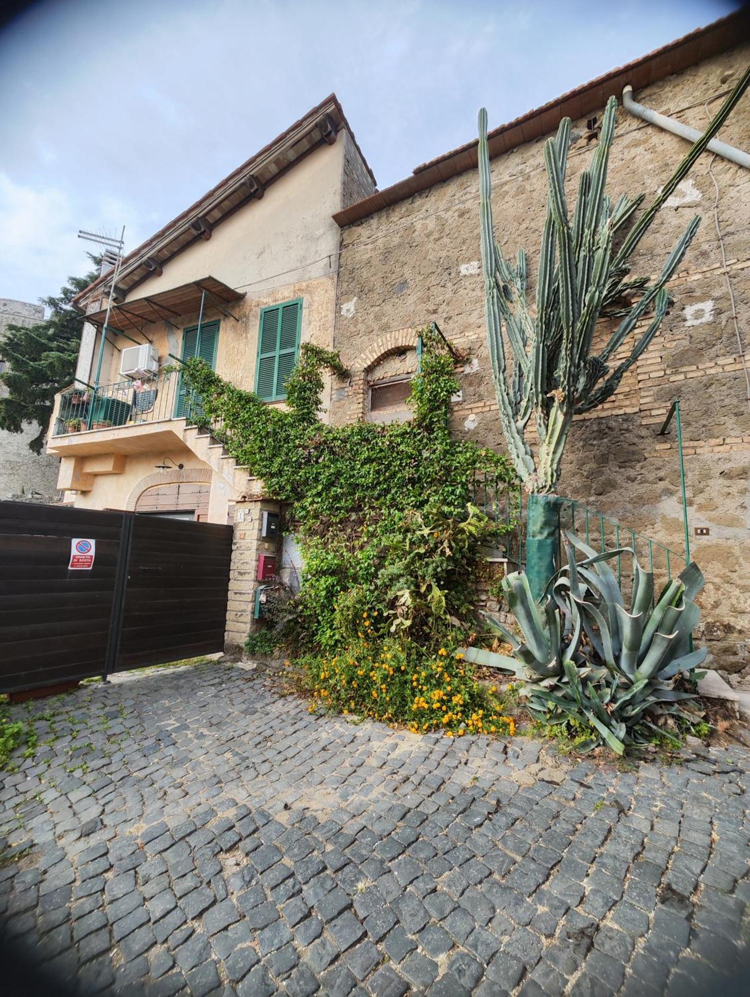 Chalet Romantico Sul Lago Lägenhet Anguillara Sabazia Exteriör bild